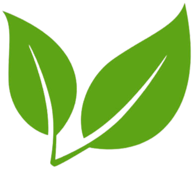 Vegan